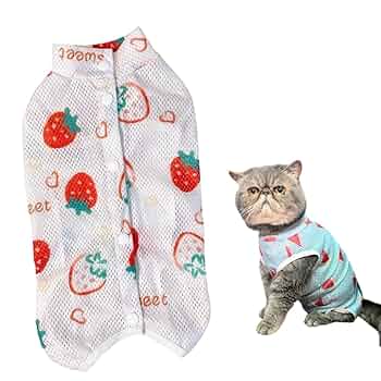 □ねこさんさま専用愛犬ちゃん4体オーダー確認用ページ□ □ねこさんさま専用愛犬ちゃん4体オーダー確認用ページ□